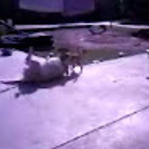 Meet your Posher, Matthew